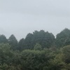 今朝の景色