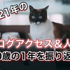 《あっと言う間の2021年ブログアクセス＆人生まとめ》40歳になった人生の1年間をまとめてみる