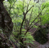 🌿昇仙峡からもう少し足を延ばしてもう一つの名瀑を満喫💫 
