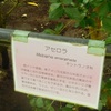 京都府立植物園を訪ねて～出会った植物たち　5