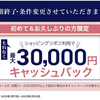 セゾンカード　リボ利用で最大30,000円キャンペーン　申込殺到？！で2/20に早期終了・2/18以降新規発行カードは対象外へ　既存保有カードで全力でいくかな。。。