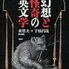  英文学と大衆小説の公分母