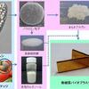 『ミドリムシ由来バイオプラスチックを開発』の事。