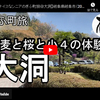 ぎふ町旅シリーズ第４６弾＠大洞：蕎麦と桜と小４の体験