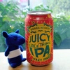Sierra Nevada - Juicy Little Thing IPA