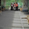 『泥に埋まった街並みと続く土砂災害の危険、寸断･･･』