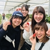 完熟いちご🍓狩り情報3月20日(水)開園日です‼️✨💕✨🍀