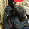 甲斐犬サン、葛藤するの巻〜( ´Д`)y難シイョゥ。