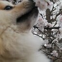 人生100年でゆっくりじっくり成長していこう！