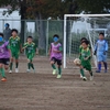 U-11トレーニングマッチ報告