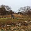 久しぶりの小牧野遺跡（青森市）でーす！