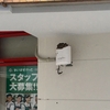 和泉多摩川のツバメくん。