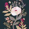 New Illustration.