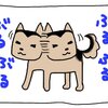 犬の不思議