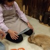 春休み企画　家族3人で、ウサギカフェへ行って来ました