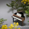 永く続く趣味になるかもしれない🎵－大人のピアノ