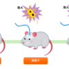 睡眠学習は本当にあるのか