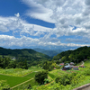 ７月のコントラスト