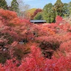 「東福寺」「南禅寺」ほか、京都紅葉めぐり（その２）