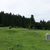 阿光坊古墳群（再訪）  青森県上北郡おいらせ町阿光坊