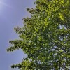 ゴールデンウィークは夏！