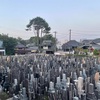 夜明け前の地震　菊花の約
