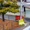 濃霧、「更地」と、「休耕田」の作業始まる。