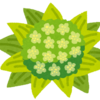 【生活】3月にしたいこと