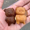 南埼玉郡宮代町須賀・東武動物公園の「くまさんのカステラ 1号店」でココアMIX８くま
