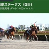 【 ハルの競馬予想 🏇 31.Jan’21 】