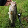 バス釣り2019(9)【冷たい雨】