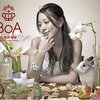 BoA spring single collection