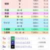 🐎11月3.4.5日予想結果🐎