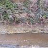 龍神温泉 民宿せせらぎに泊まる 季節のお任せコース 極上ぼたん鍋