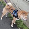 雑談、整理整頓、だよ