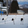 「コロナ禍の新しい遊び」