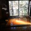 毒沢鉱泉「神乃湯」日帰り温泉体験｜信玄の隠し湯！驚きの効能を持つオレンジ色の湯