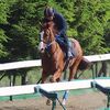 1日に美浦・手塚厩舎へ帰厩しています。☆ルージュセリーズ