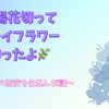 🍃アジサイ切ってドライフラワー仕込んだぞ！  〜伝説の西安のドライを完成させるぞの巻〜