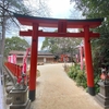 天開稲荷神社：かわいい子狐ちゃん（福岡）