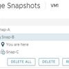 VCP DCV 2020 U1_snapshot