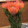 学びつつ、ヒビいてくること３