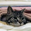 引きこもり続ける理由