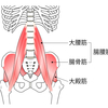 腸腰筋が硬いか調べよう！