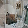 撮ろうとすると撮れない
