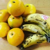 中原商店さんの島バナナ