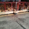 韓国モラン市場の動物達
