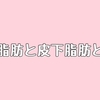 内臓脂肪と皮下脂肪とは？蓄積する理由と落とし方