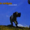 Emmerdale/The Cardigans（1994）今日のDMM月額レンタル日記。#133