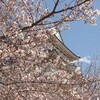 桜の季節（１）